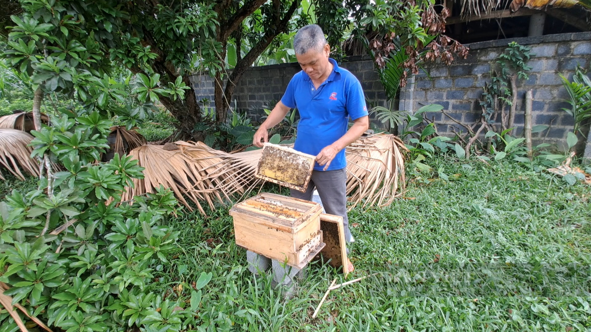 Nuôi ong lấy mật dưới tán rừng, nhiều bà con ở xã này của Thái Nguyên có thu nhập khá - Ảnh 3.