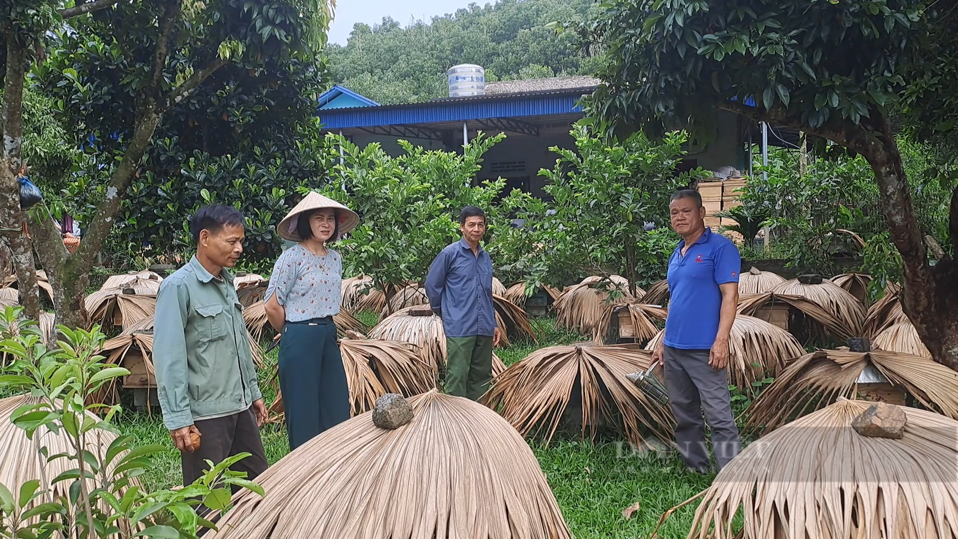 Nuôi ong lấy mật dưới tán rừng, nhiều bà con ở xã này của Thái Nguyên có thu nhập khá - Ảnh 6.