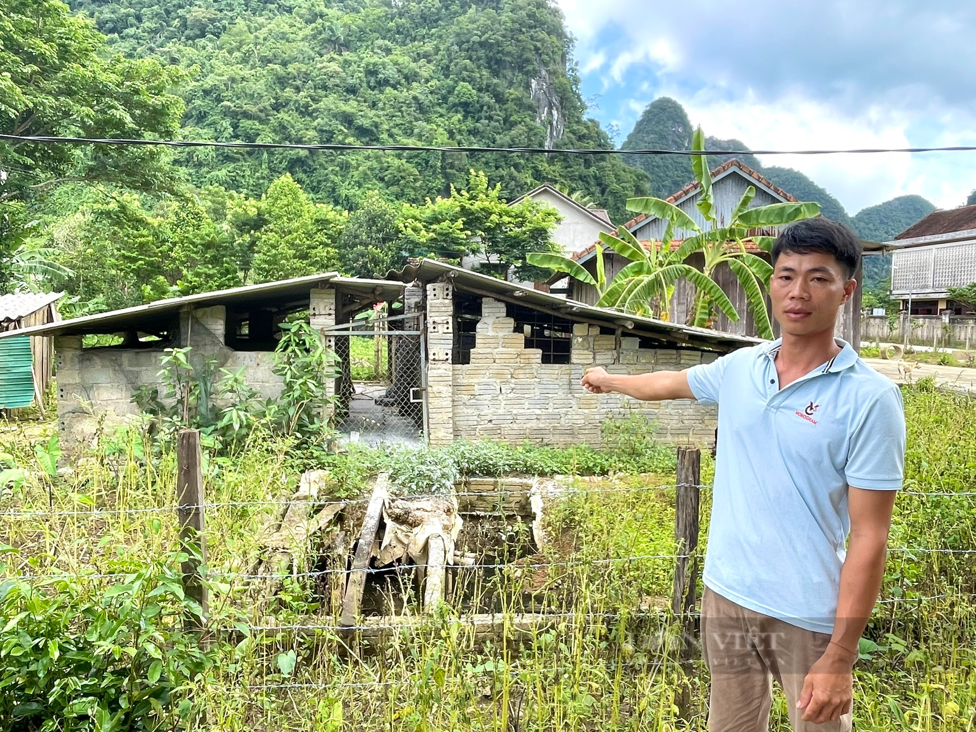 Quảng Bình: Hộ nghèo nhận hỗ trợ lợn về nuôi được ít ngày bỗng chết dần vì dịch bệnh - Ảnh 3.