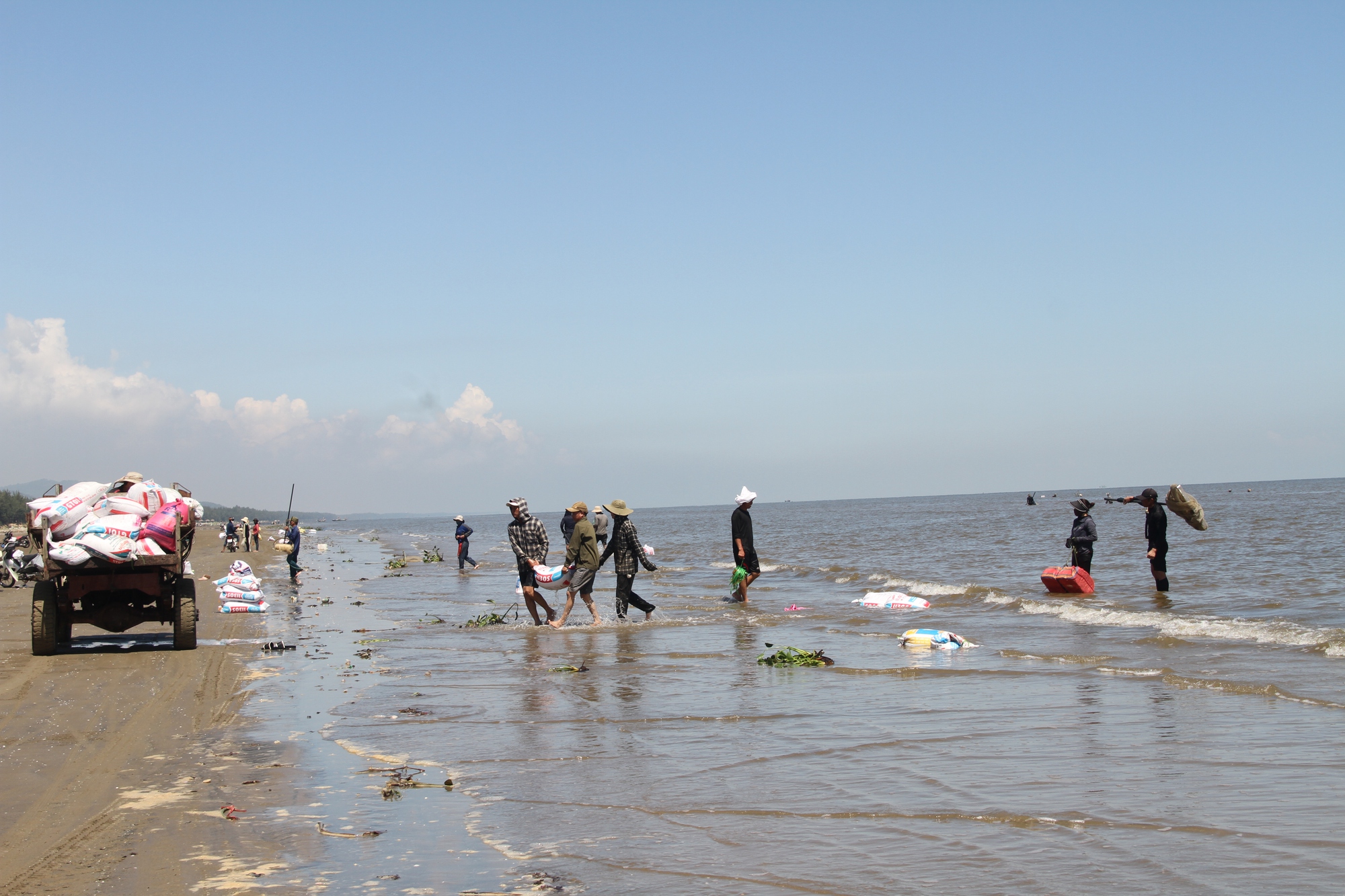 Hà Tĩnh: Hàng trăm người dân đổ xô đi cào “lộc biển”, bỏ túi cả triệu đồng mỗi ngày - Ảnh 14.