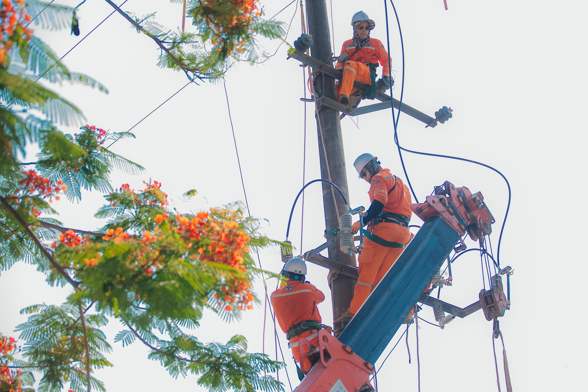 khắc phục sửa chữa lưới điện