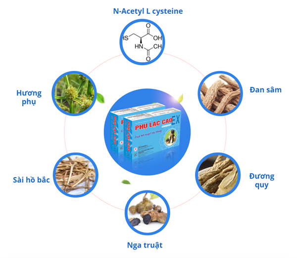 Phụ Lạc Cao EX - giải pháp cải thiện cho người đau bụng kinh - Ảnh 4.