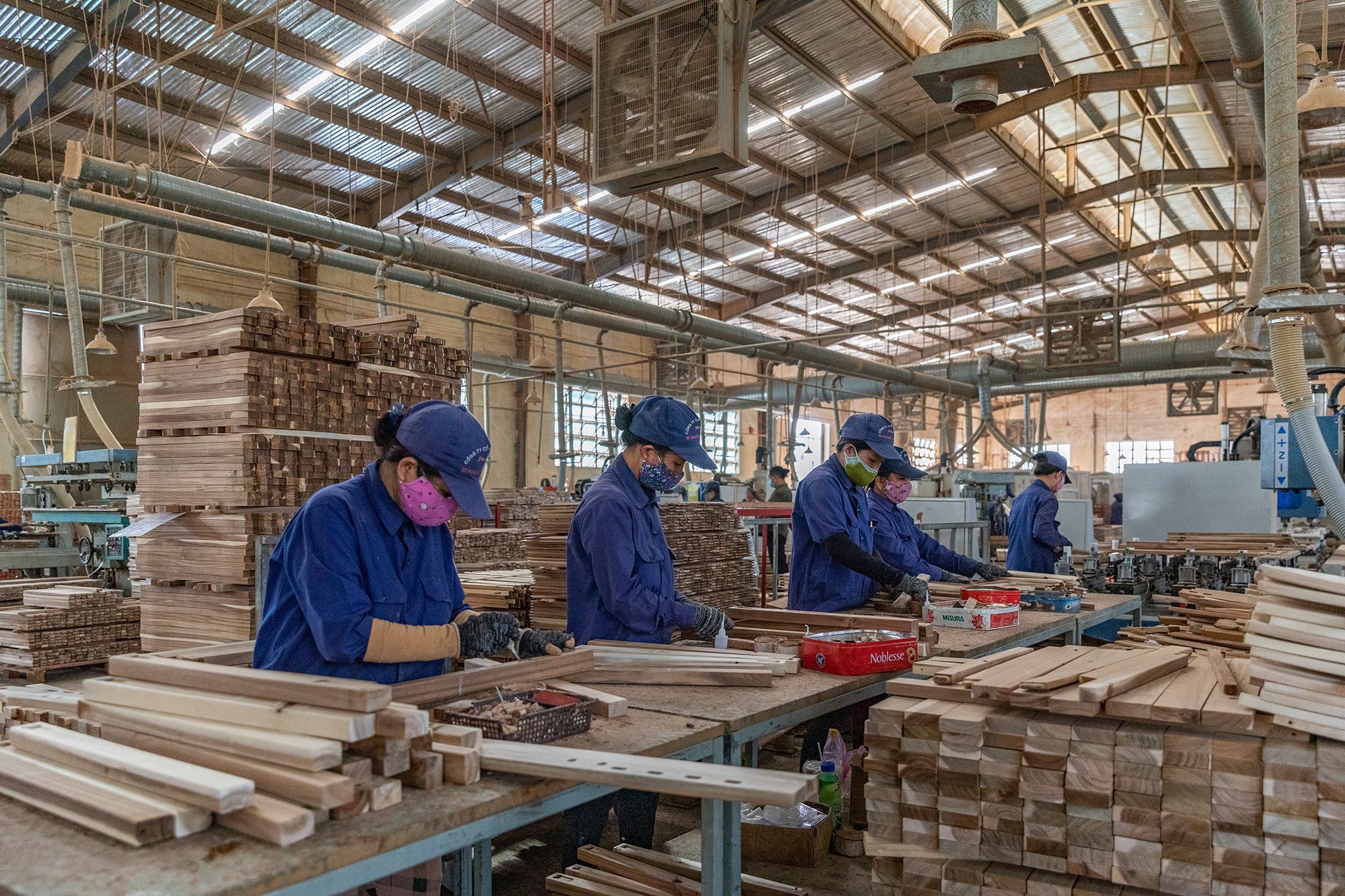 Phụ nữ làm việc trong ngành lâm nghiệp ít có khả năng tiếp cận cơ hội đào tạo về chuyên môn, kỹ thuật - Ảnh 3.