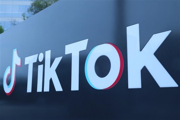Hàng loạt sai phạm của TikTok tại Việt Nam được công bố - Ảnh 1.