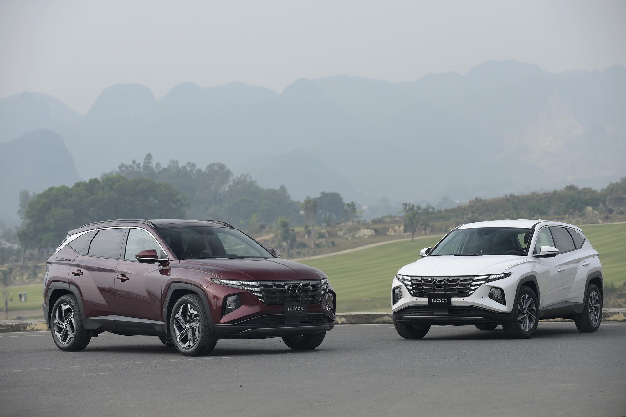 Hyundai Thành Công công bố giá bán mới cho Tucson Và Santa Fe - Ảnh 1.