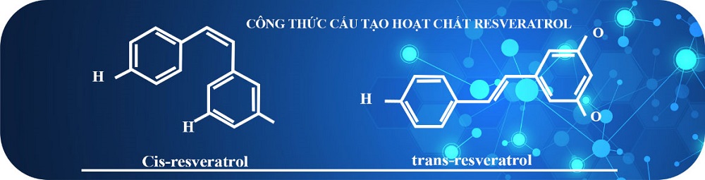 Golden Lypres thực phẩm bảo vệ sức khỏe, hỗ trợ giảm nguy cơ xơ vữa động mạch - Ảnh 2.