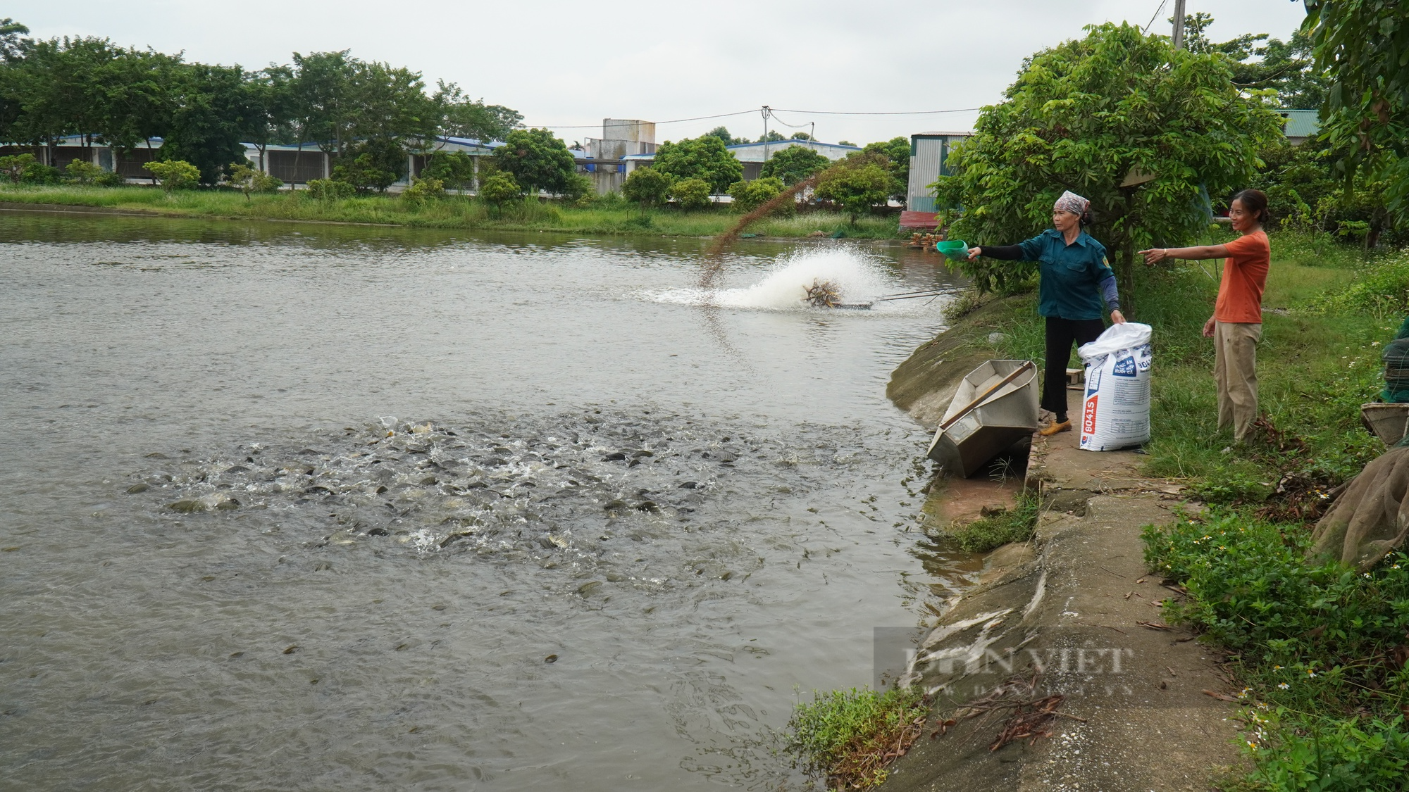 Nông dân Việt Nam xuất sắc 2023 đến từ Bắc Ninh biến khu lò gạch cũ thành trang trại, doanh thu hơn 30 tỷ đồng/năm - Ảnh 3.