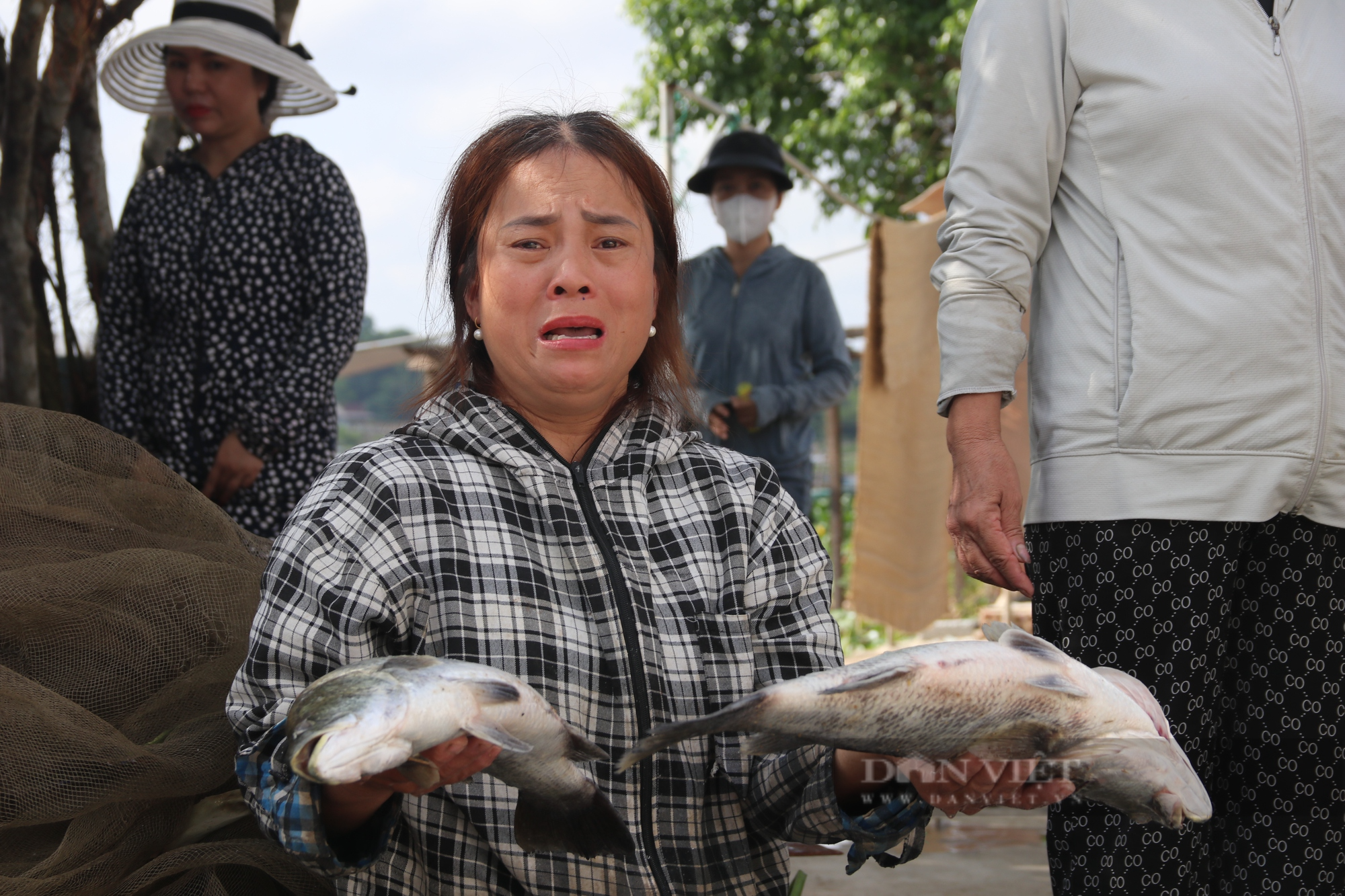 Hà Tĩnh: Hơn 50 tấn cá chết trong đêm, người dân khóc ròng vì trắng tay - Ảnh 2.