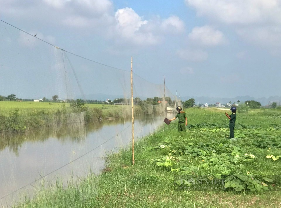 Sau phản ánh của Dân Việt, gần 2.000 mét lưới, 7 túp lều bẫy chim hoang dã ở Ninh Bình bị tháo gỡ - Ảnh 2.