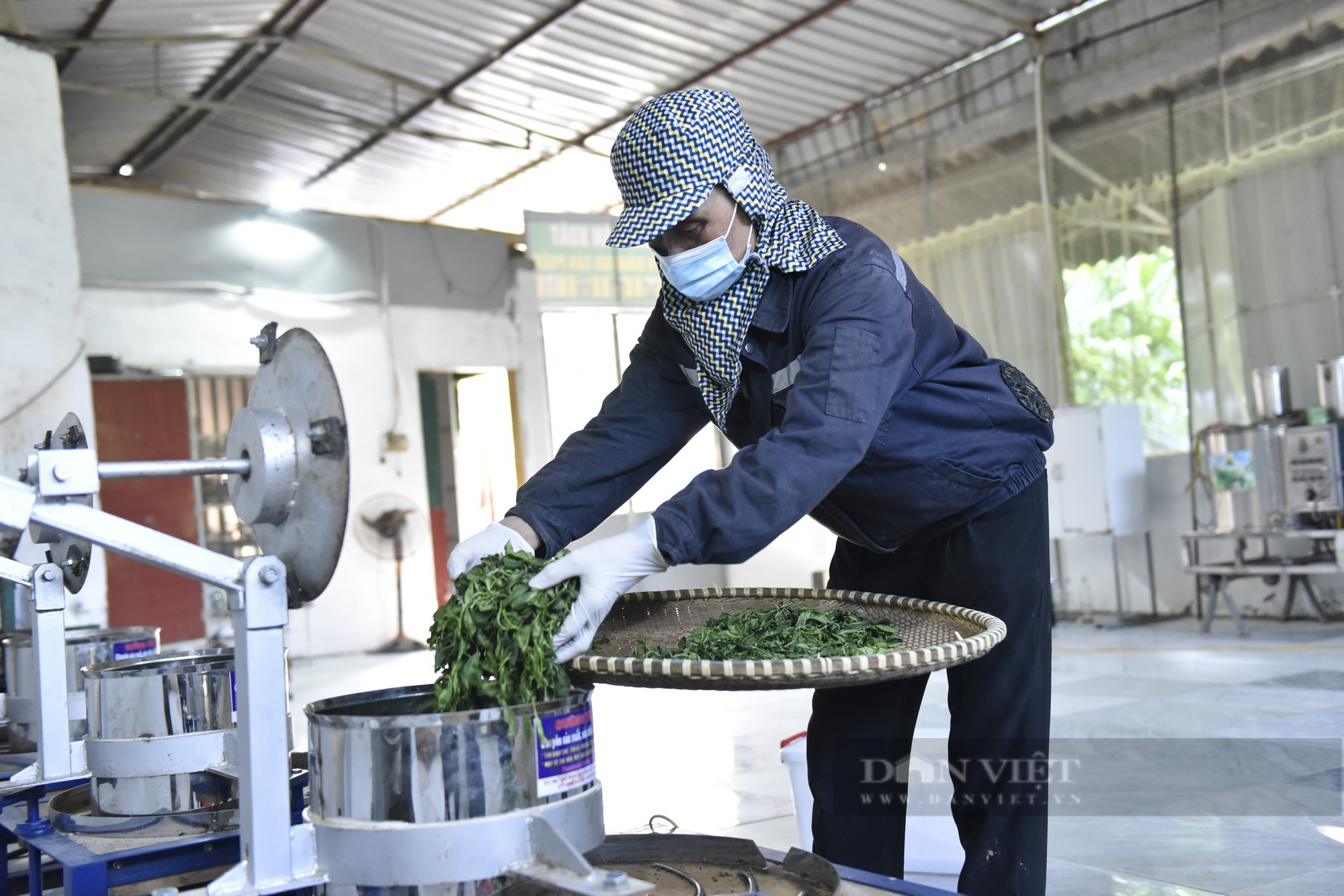 Giúp nâng cao giá trị cây chè và thoát nghèo được bình chọn là Nông dân Việt Nam xuất sắc 2023 - Ảnh 8.