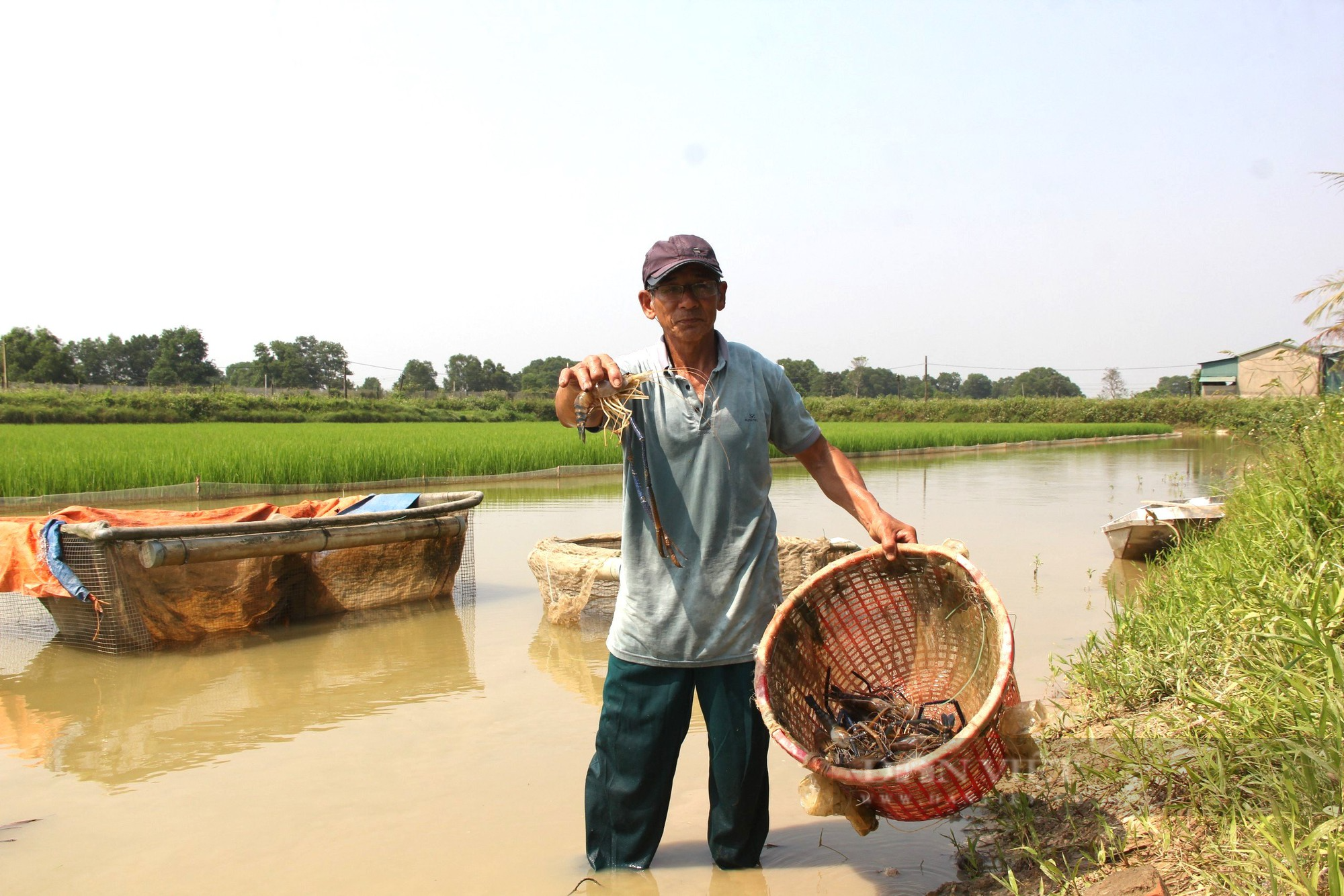 Nông dân Việt Nam xuất sắc 2023 biến đồng hoang thành nơi nuôi lợn, mô hình lúa - cá, tôm thu tiền tỷ - Ảnh 2.