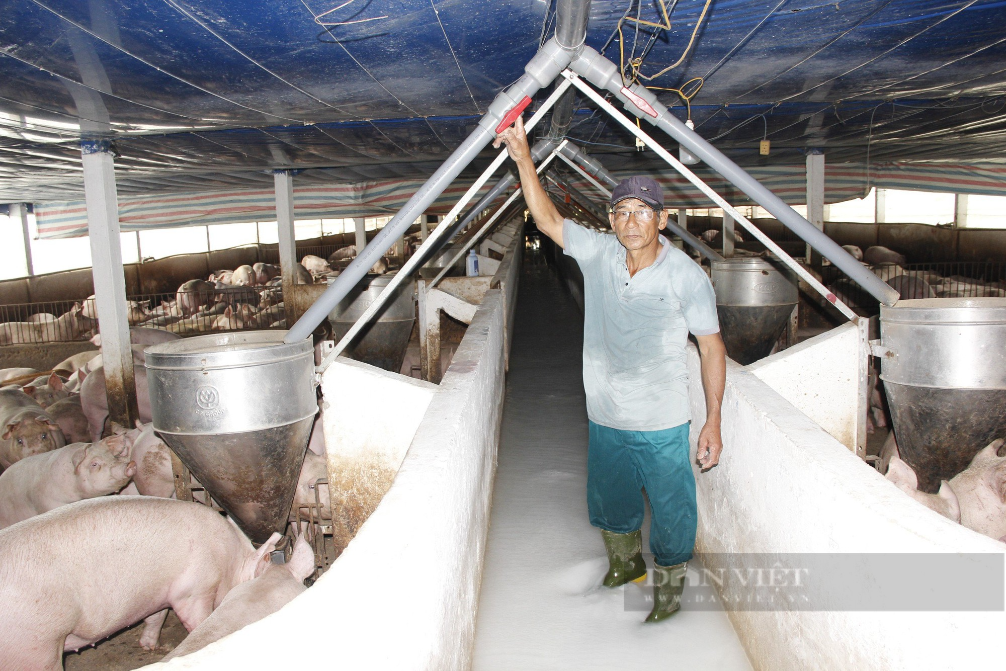 Nông dân Việt Nam xuất sắc 2023 biến đồng hoang thành nơi nuôi lợn, mô hình lúa - cá, tôm thu tiền tỷ - Ảnh 4.
