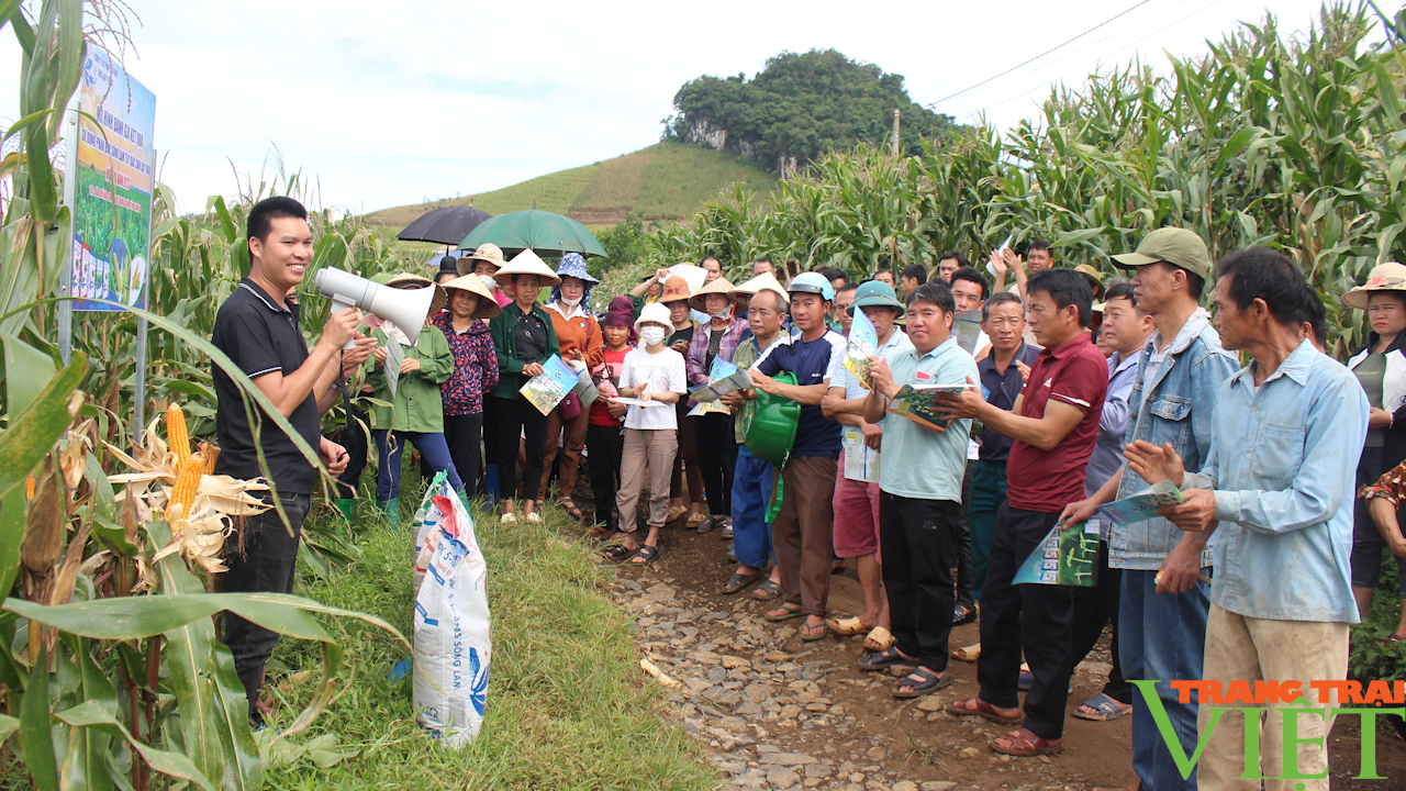 Phân bón Sông Lam Tây Bắc: Giúp nông dân sản xuất bền vững, nâng cao năng suất - Ảnh 6.