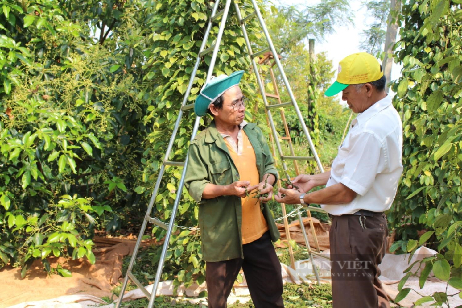 Xây dựng nông thôn Đắk Lắk giàu đẹp, văn minh, bản sắc theo Nghị quyết 08 của Tỉnh uỷ - Ảnh 1.