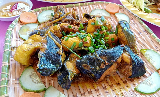 Một trong 3 đầm phá lớn nhất nước ta là ở Bình Định, có loài cá bổ dưỡng nấu kiểu gì cũng ra đặc sản - Ảnh 1.
