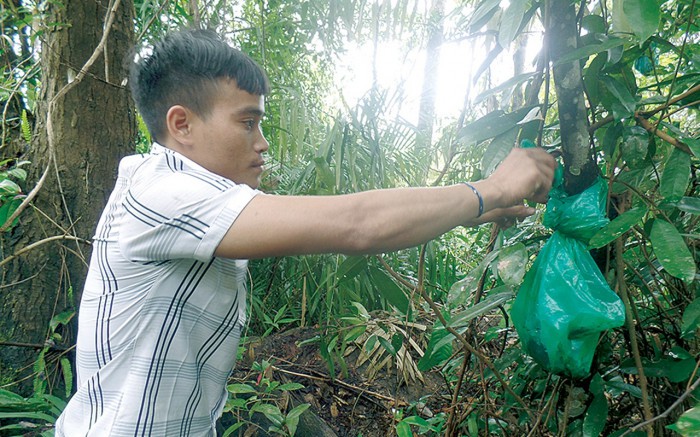 Đây là khu rừng kỳ lạ ở Quảng Nam, nơi bà con dân tộc Xơ Đăng cất giấu một thứ bất ngờ không kém