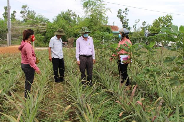 Tập trung phát triển kinh tế, “mở đường” cho Quảng Ngãi nâng tầm nông thôn mới - Ảnh 3.