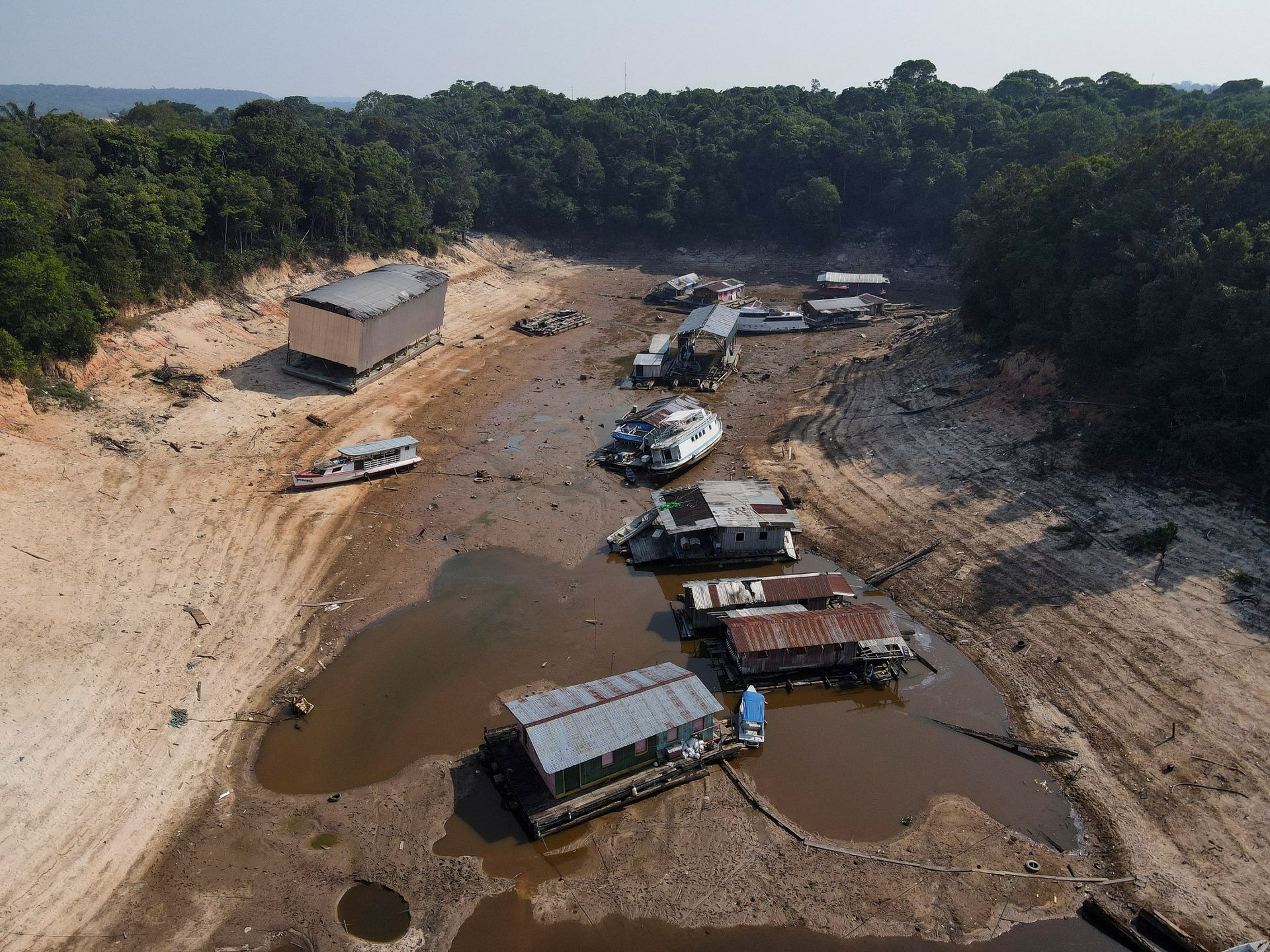 Đất đai nứt nẻ, cá heo chết vì hạn hán kinh hoàng trên sông Amazon - Ảnh 1.