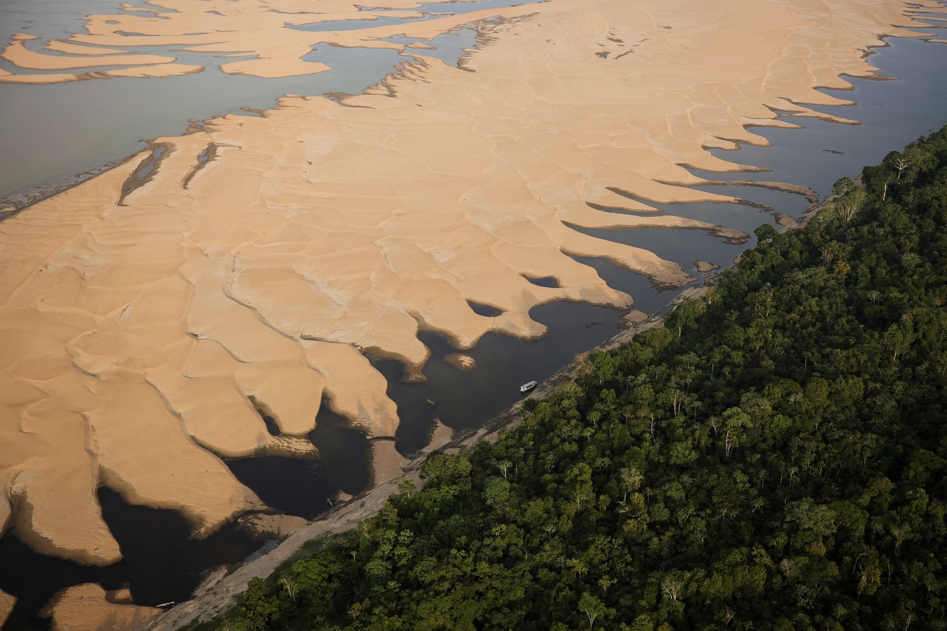 Đất đai nứt nẻ, cá heo chết vì hạn hán kinh hoàng trên sông Amazon - Ảnh 5.