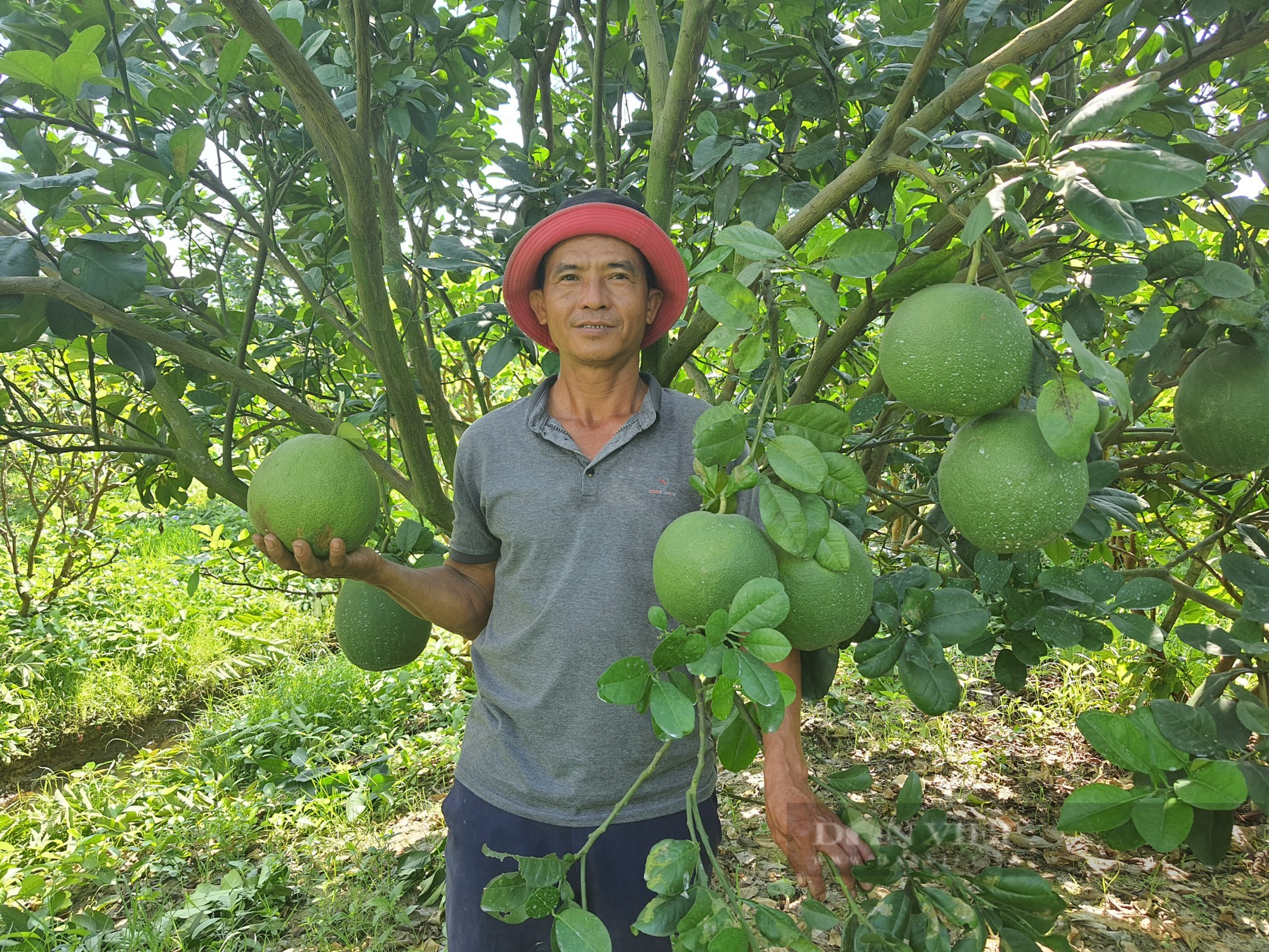 Quảng Nam: Tập trung hoàn thiện hạ tầng - Đại Lộc quyết tâm về đích huyện nông thôn mới - Ảnh 5.