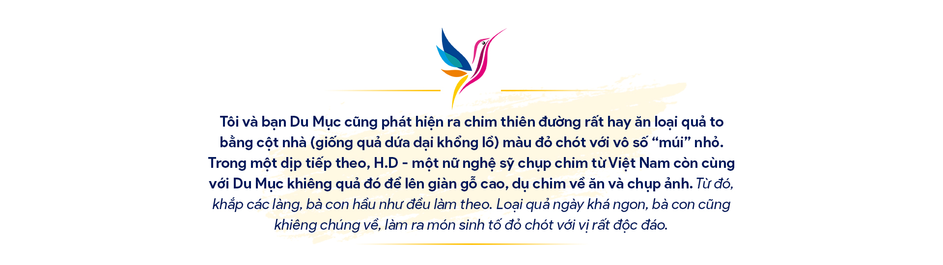 10 ngày hành xác ở &quot;xứ Thiên Đường&quot;: Dõi cánh Thiên Đường và dấu ấn &quot;birder Việt&quot; (Bài 2) - Ảnh 4.