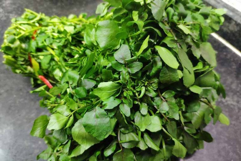 Có sẵn ở chợ Việt, chỉ hơn 10.000 đồng/bó, ví là 'siêu thực phẩm', ngừa được K, hóa ra là loại rau này - Ảnh 4.