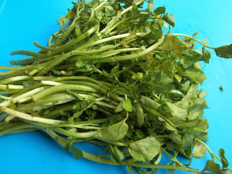 Có sẵn ở chợ Việt, chỉ hơn 10.000 đồng/bó, ví là 'siêu thực phẩm', ngừa được K, hóa ra là loại rau này - Ảnh 5.