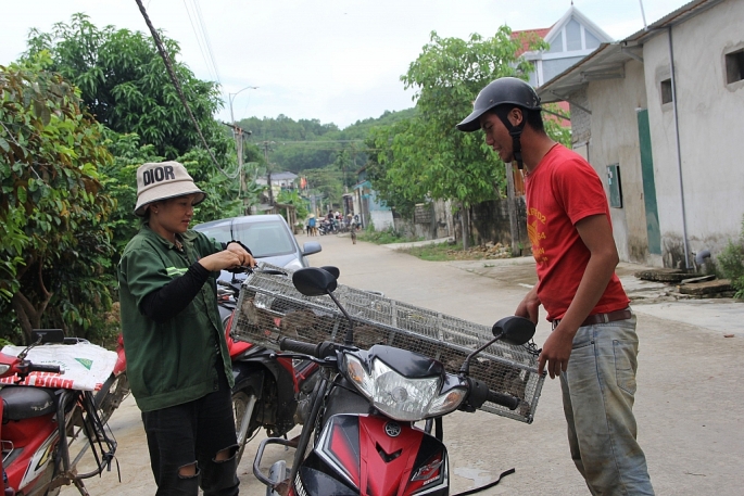 Kỳ lạ một ngôi làng ở Nghệ An từ già đến trẻ, từ đàn ông đến đàn bà đều &quot;nghiện&quot; ăn thịt chuột đồng - Ảnh 1.