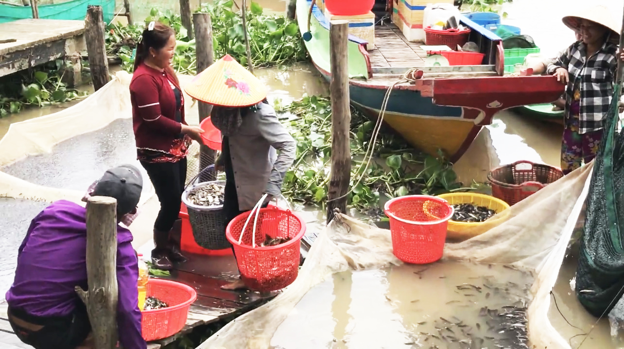 Lũ tràn đồng ở Đồng Tháp Mười, dân rủ nhau đi săn lùng những &quot;kho báu&quot; dưới nước - Ảnh 2.