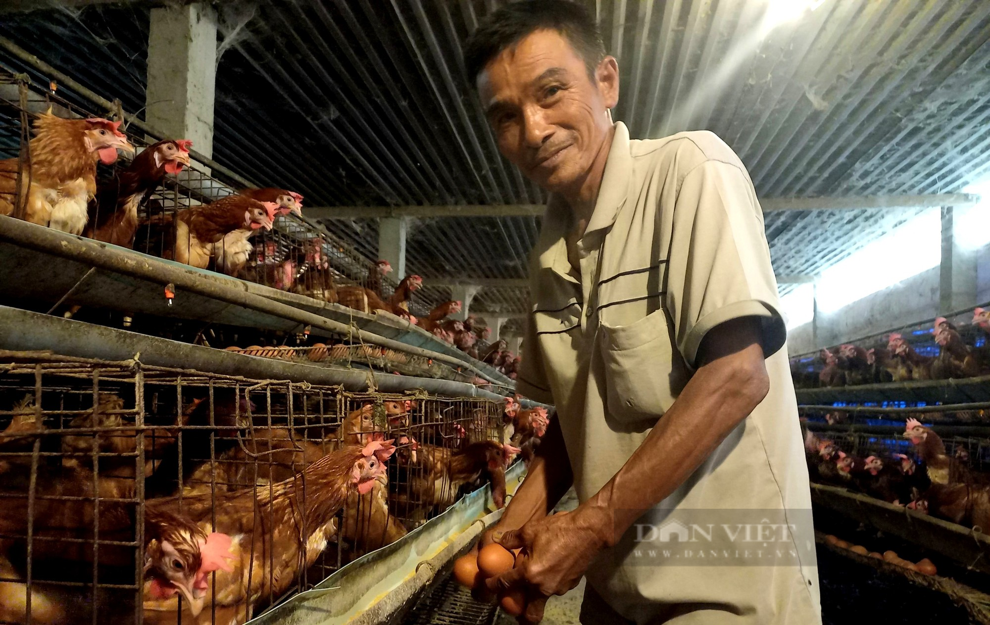 Một người ở Long An nuôi gà lấy trứng trại lạnh được phong Nông dân Việt Nam xuất sắc 2023 - Ảnh 1.