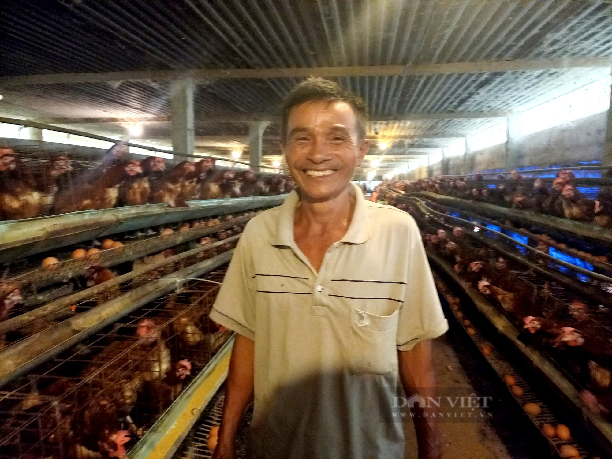 Một người ở Long An nuôi gà lấy trứng trại lạnh được phong Nông dân Việt Nam xuất sắc 2023 - Ảnh 6.