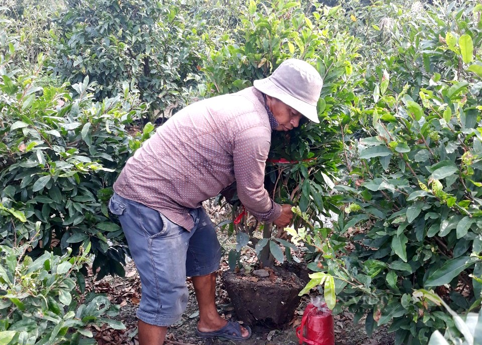 TP.HCM: Các huyện tăng cường bảo tồn, phát triển ngành nghề, làng nghề truyền thống  - Ảnh 3.