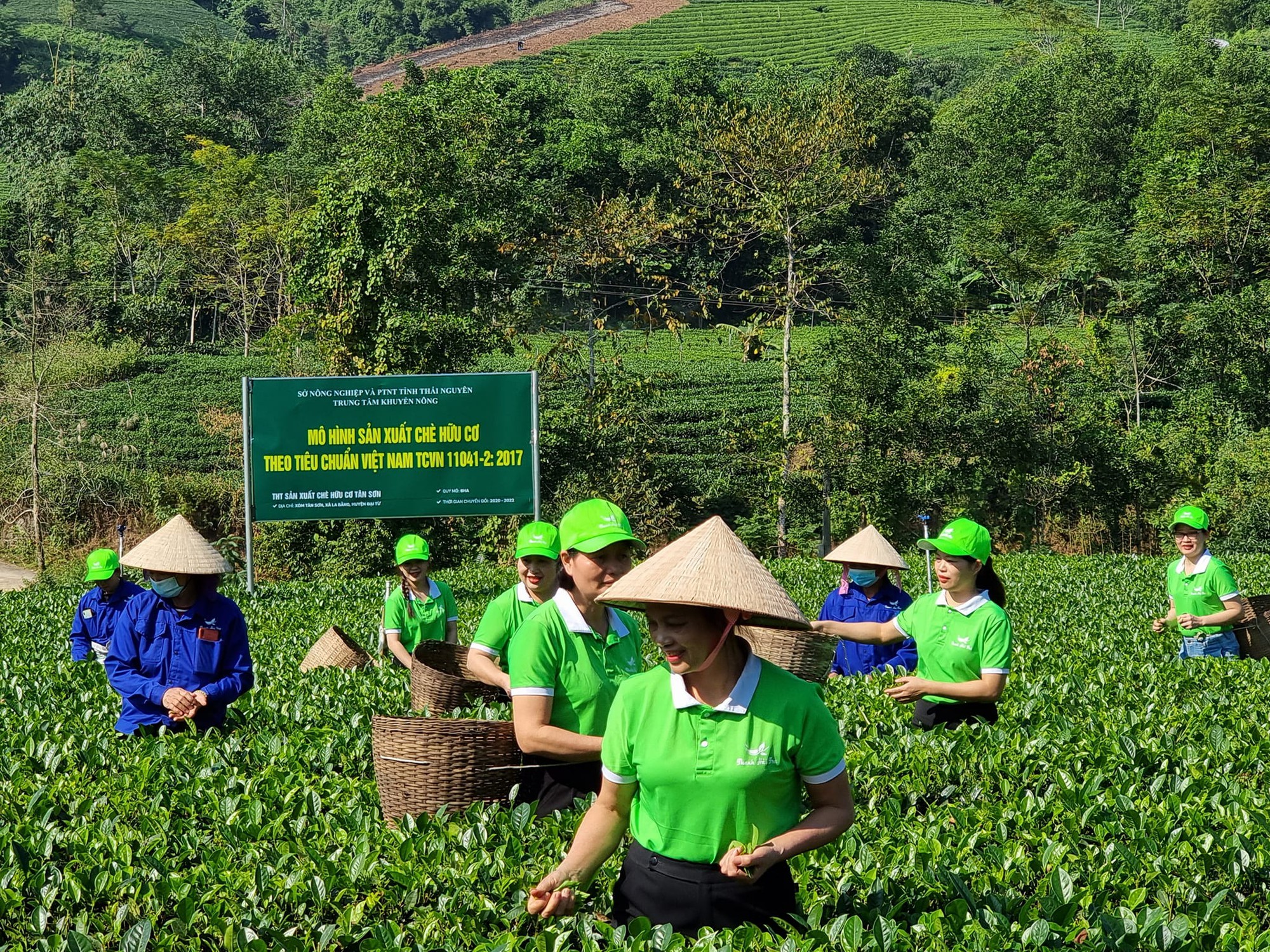 Những đầu tàu liên kết, &quot;kéo&quot; nông dân làm giàu: Xây dựng thương hiệu nông sản, nâng cao giá trị sản phẩm và hội nhập - Ảnh 8.