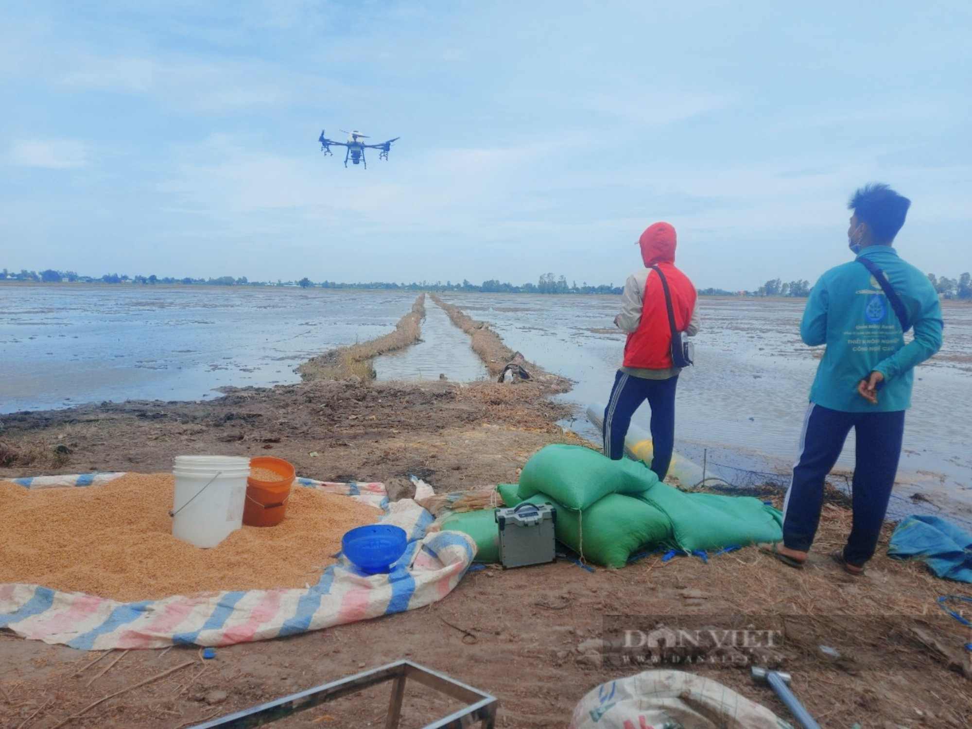 Những đầu tàu liên kết, 'kéo' nông dân làm giàu: Mặt ruộng không dấu chân và hạt gạo bay sang trời Âu (bài 2)  - Ảnh 1.