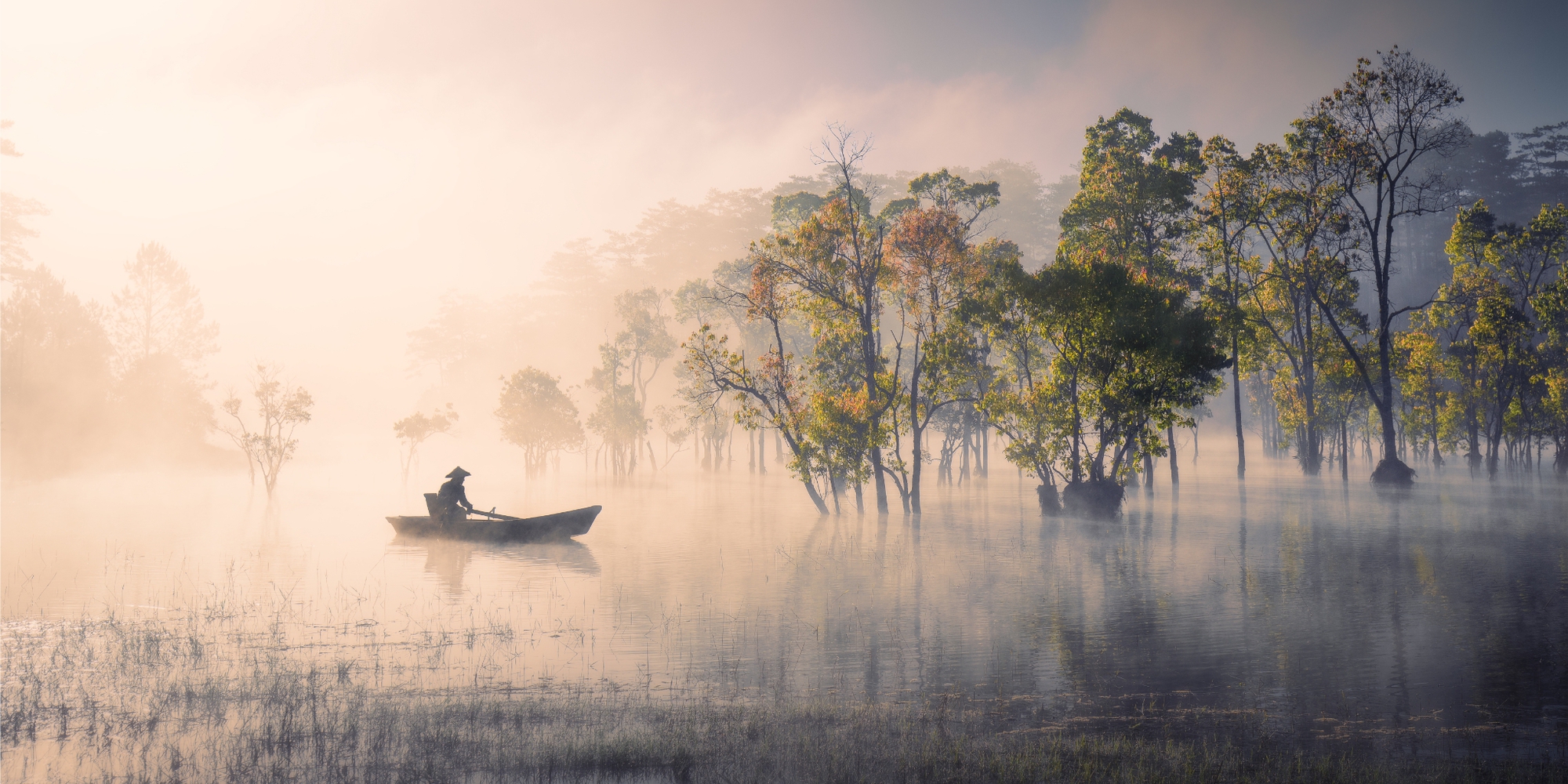  Nhiếp ảnh gia người Việt xuất sắc giành giải thưởng quốc tế khi săn ảnh cho vịt ăn  - Ảnh 6.