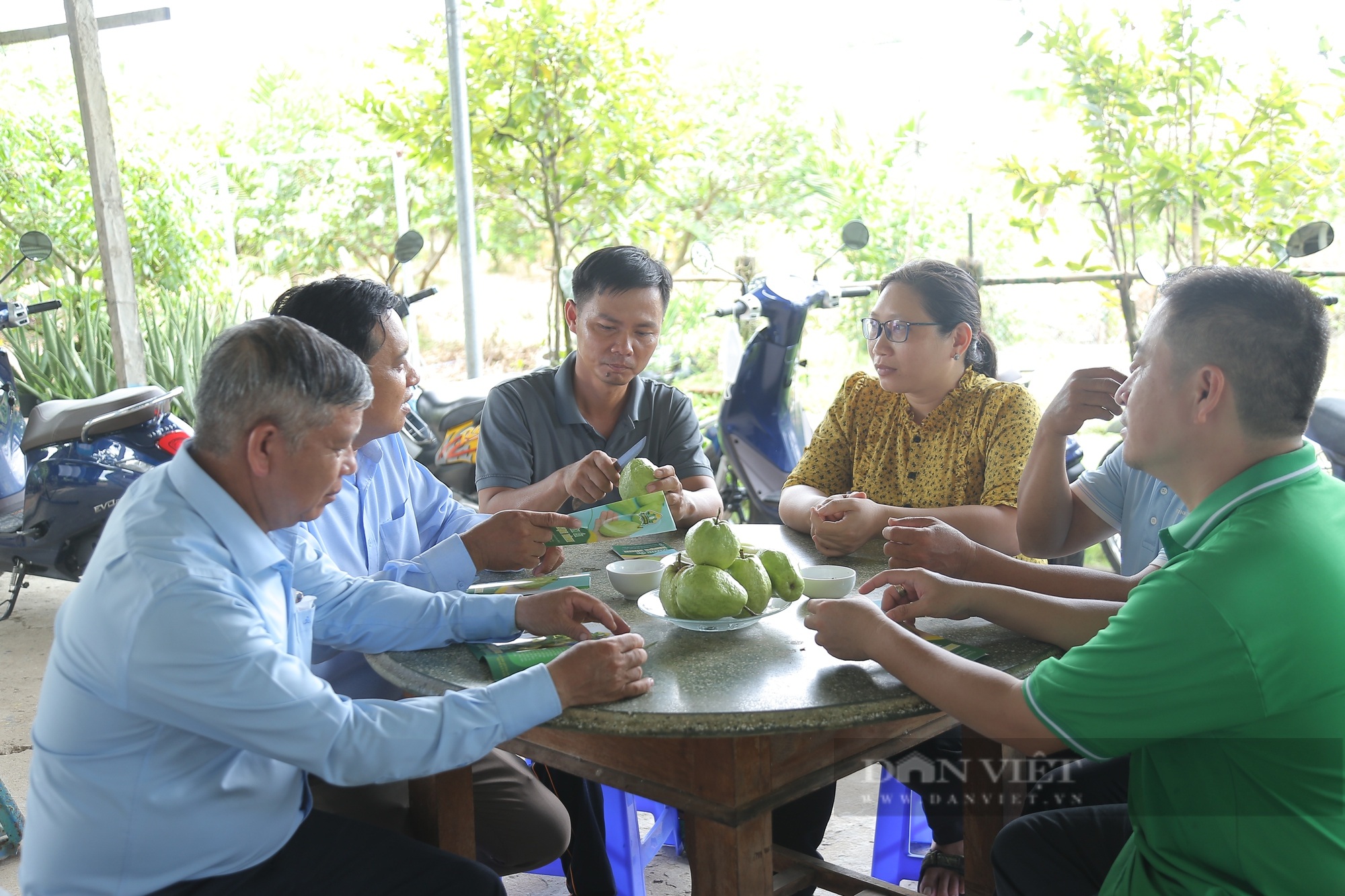 Bỏ trồng lúa để trồng trái sần sùi trên đất phèn, thanh niên Bình Chánh làm nên cơ nghiệp - Ảnh 4.