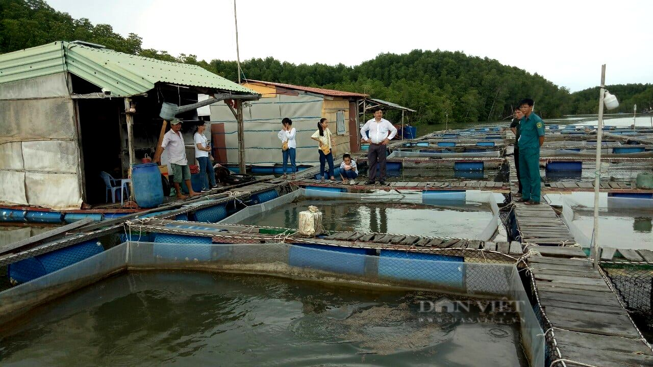 TP.HCM: Xây dựng chuỗi khai thác thủy sản gắn với làng nghề truyền thống ven biển - Ảnh 3.