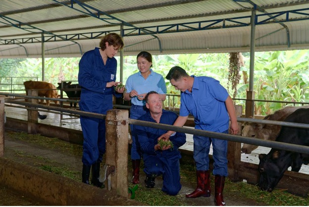 Học cách người Hà Lan chăn nuôi bò sữa bền vững - Ảnh 5.