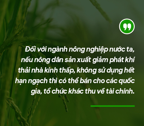 Những đầu tàu liên kết, 'kéo' nông dân làm giàu: Mặt ruộng không dấu chân và ước mơ bán tín chỉ carbon (bài 2)  - Ảnh 8.