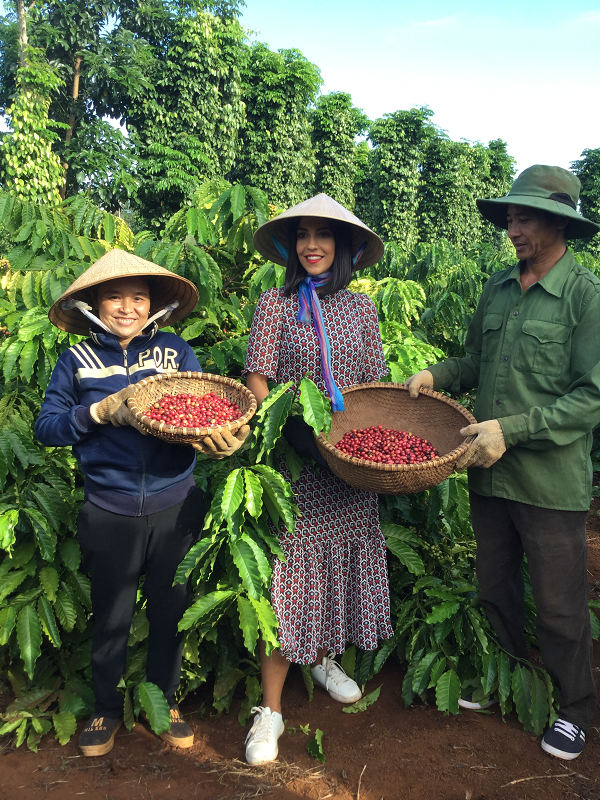 Việt Nam góp phần tạo nên thương hiệu thực phẩm giá trị nhất thế giới cho Nestlé - Ảnh 1.