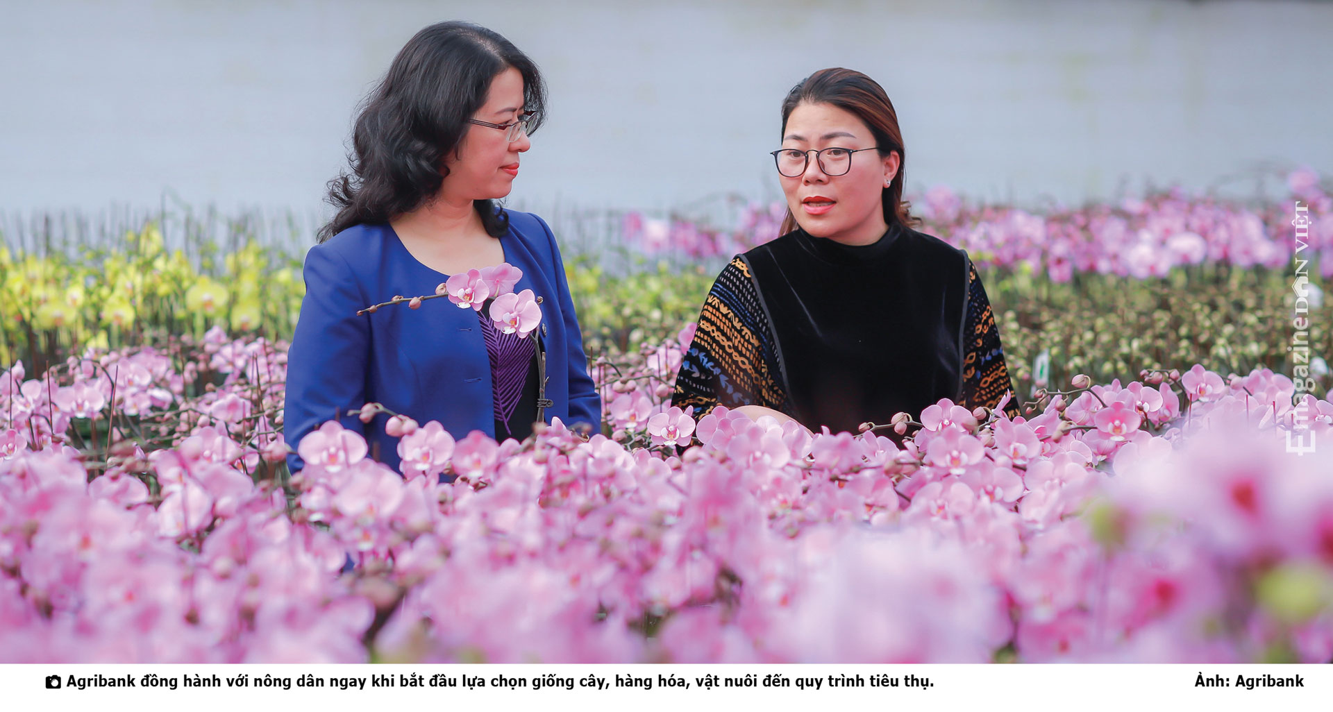 Bà Nguyễn Thị Phượng, Phó Tổng Giám đốc Agribank: “Chúng tôi sinh ra để phục vụ nông dân” - Ảnh 5.