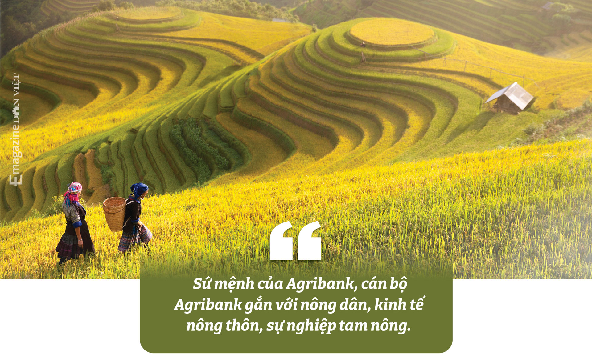 Bà Nguyễn Thị Phượng, Phó Tổng Giám đốc Agribank: “Chúng tôi sinh ra để phục vụ nông dân” - Ảnh 9.