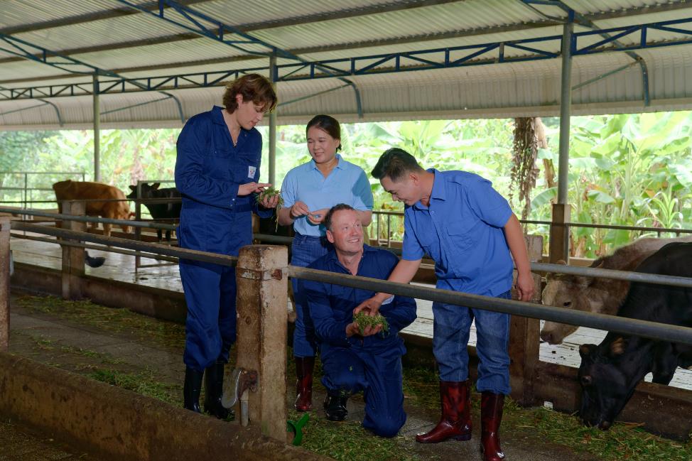 Lần đầu tiên, nông dân Việt Nam được học cách chăn nuôi bò sữa bền vững theo kinh nghiệm Hà Lan - Ảnh 5.