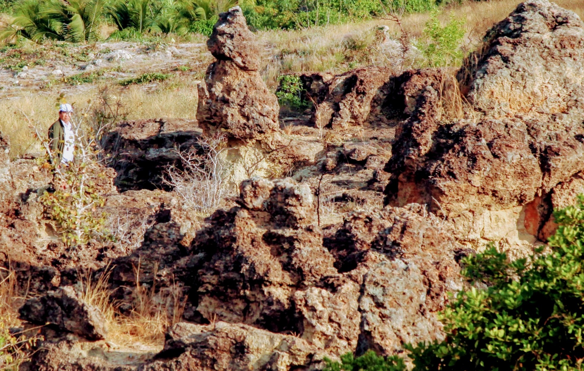 Bãi đá cổ hình thù kỳ dị ở Ninh Thuận, nhiều người đang đến xem, xa xưa là một làng cổ của người Chăm - Ảnh 6.