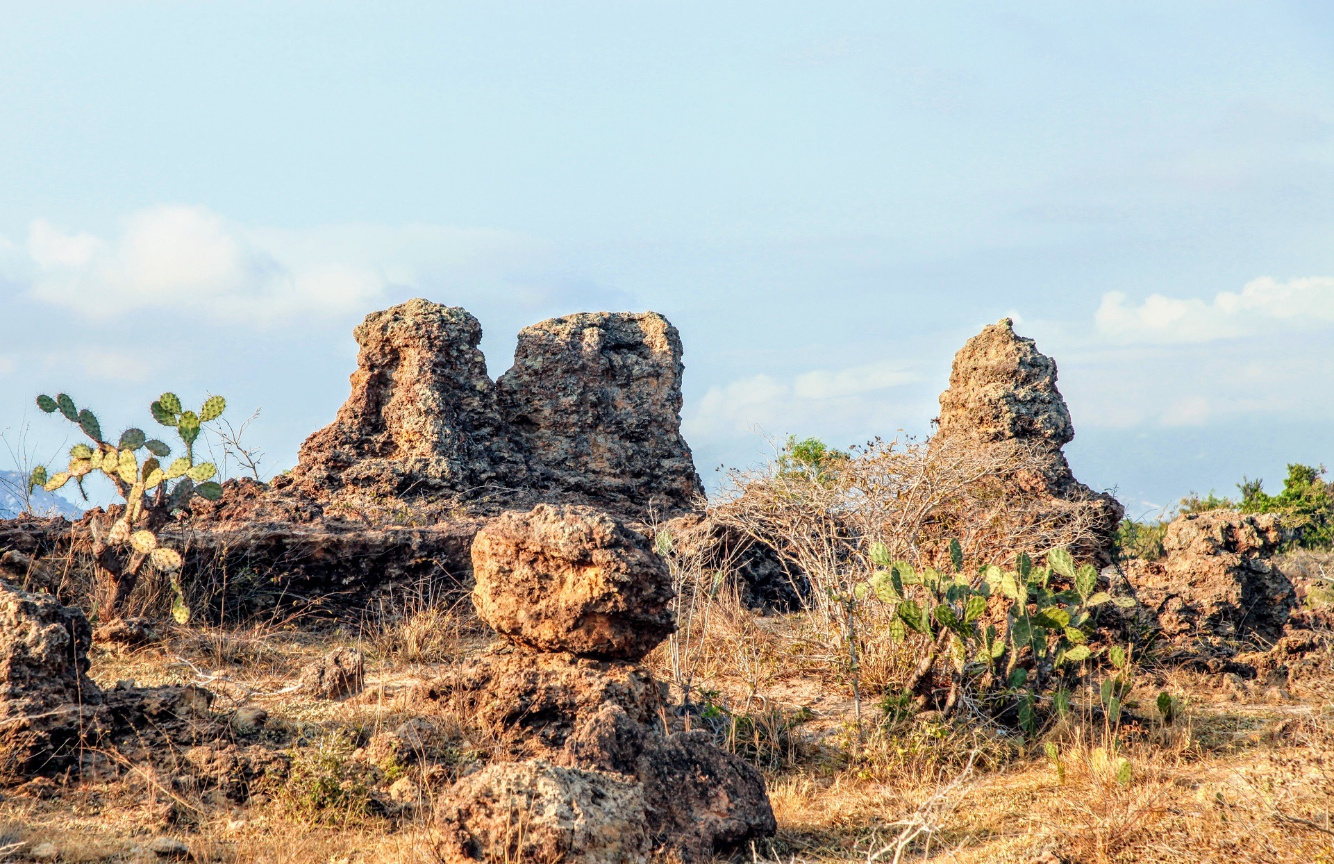 Bãi đá cổ hình thù kỳ dị ở Ninh Thuận, nhiều người đang đến xem, xa xưa là một làng cổ của người Chăm - Ảnh 9.