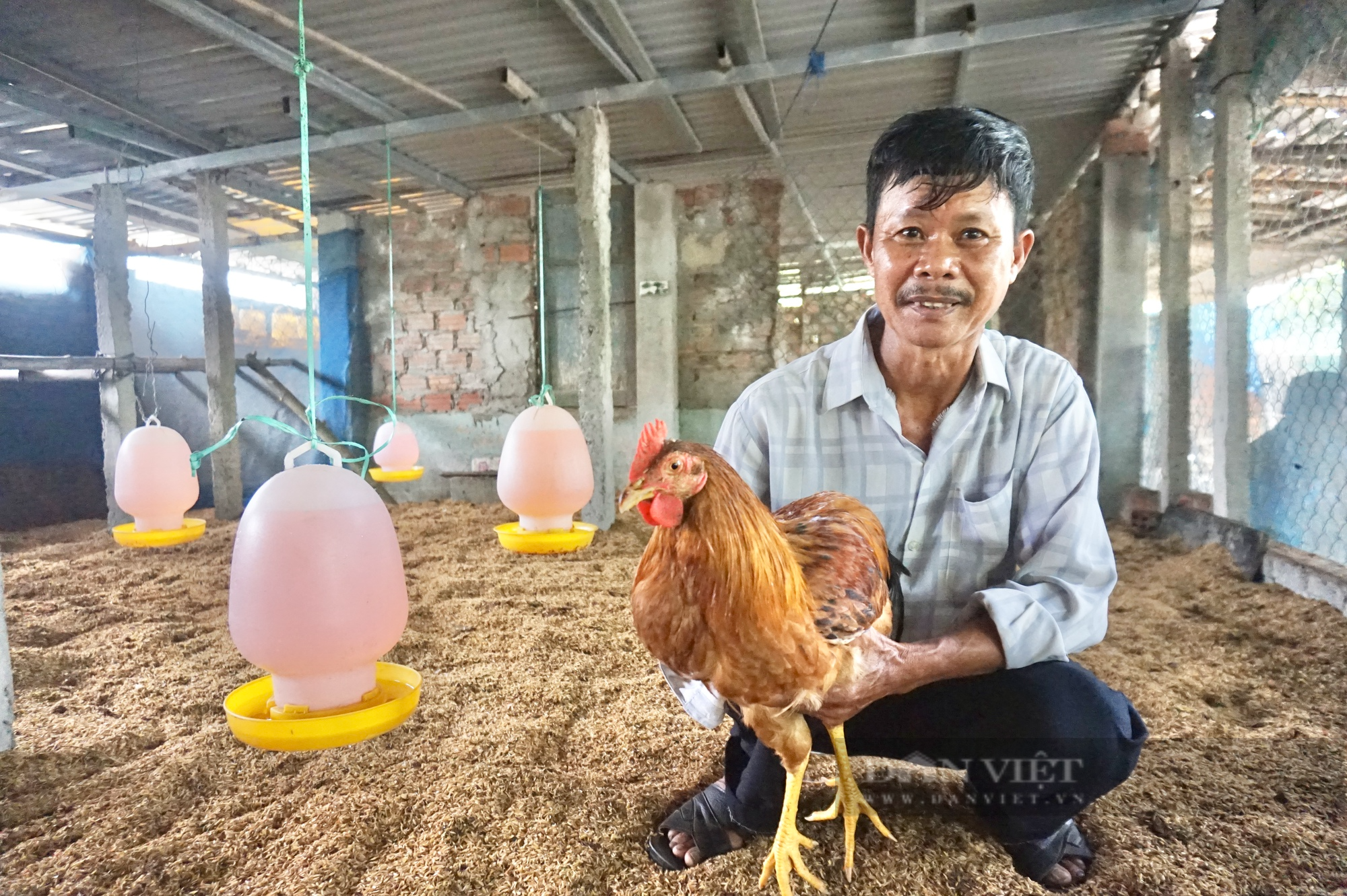 Gần 50 cán bộ, nông dân Đà Nẵng tham quan mô hình nuôi gà trên đệm lót sinh học dày - Ảnh 2.