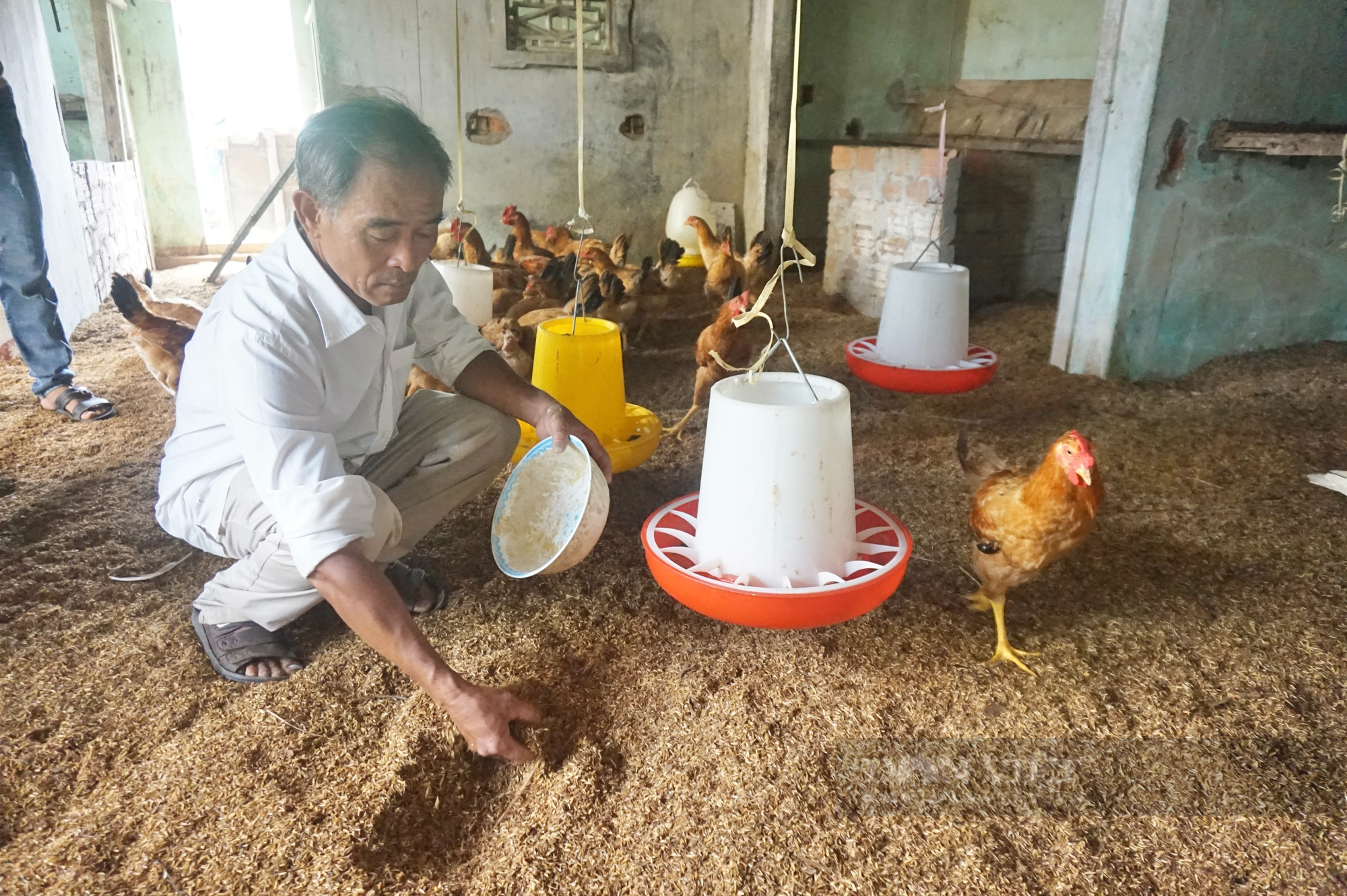 Gần 50 cán bộ, nông dân Đà Nẵng tham quan mô hình nuôi gà trên đệm lót sinh học dày - Ảnh 8.