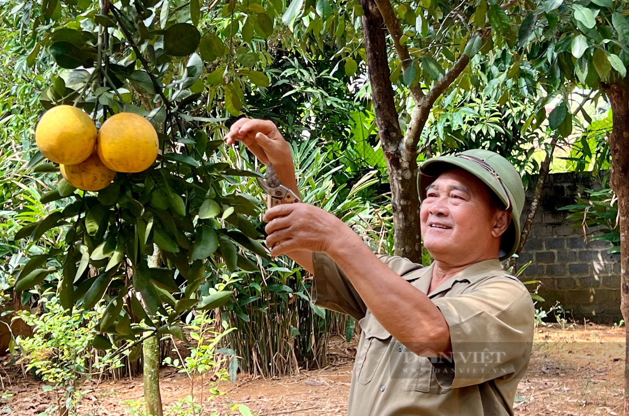 Anh hùng giữa đời thường làm kinh tế giỏi, xây dựng làng quê đổi mới, phát triển - Ảnh 4.