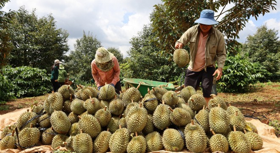 Ông Nguyễn Thái Bình - Người tâm huyết với Thương mại ngành Nông sản Việt Nam - Ảnh 1.