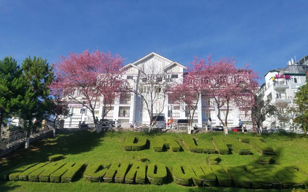 Việt Nam có thêm 2 thành phố được công nhận là Thành phố sáng tạo UNESCO - Ảnh 3.